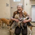 Support Our Shelter