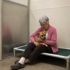 Support Our Shelter