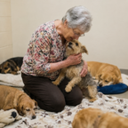 Support Our Shelter