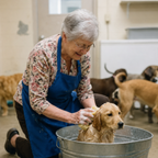 Support Our Shelter