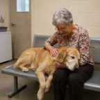 Support Our Shelter